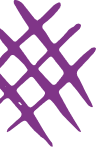 Vetor 5