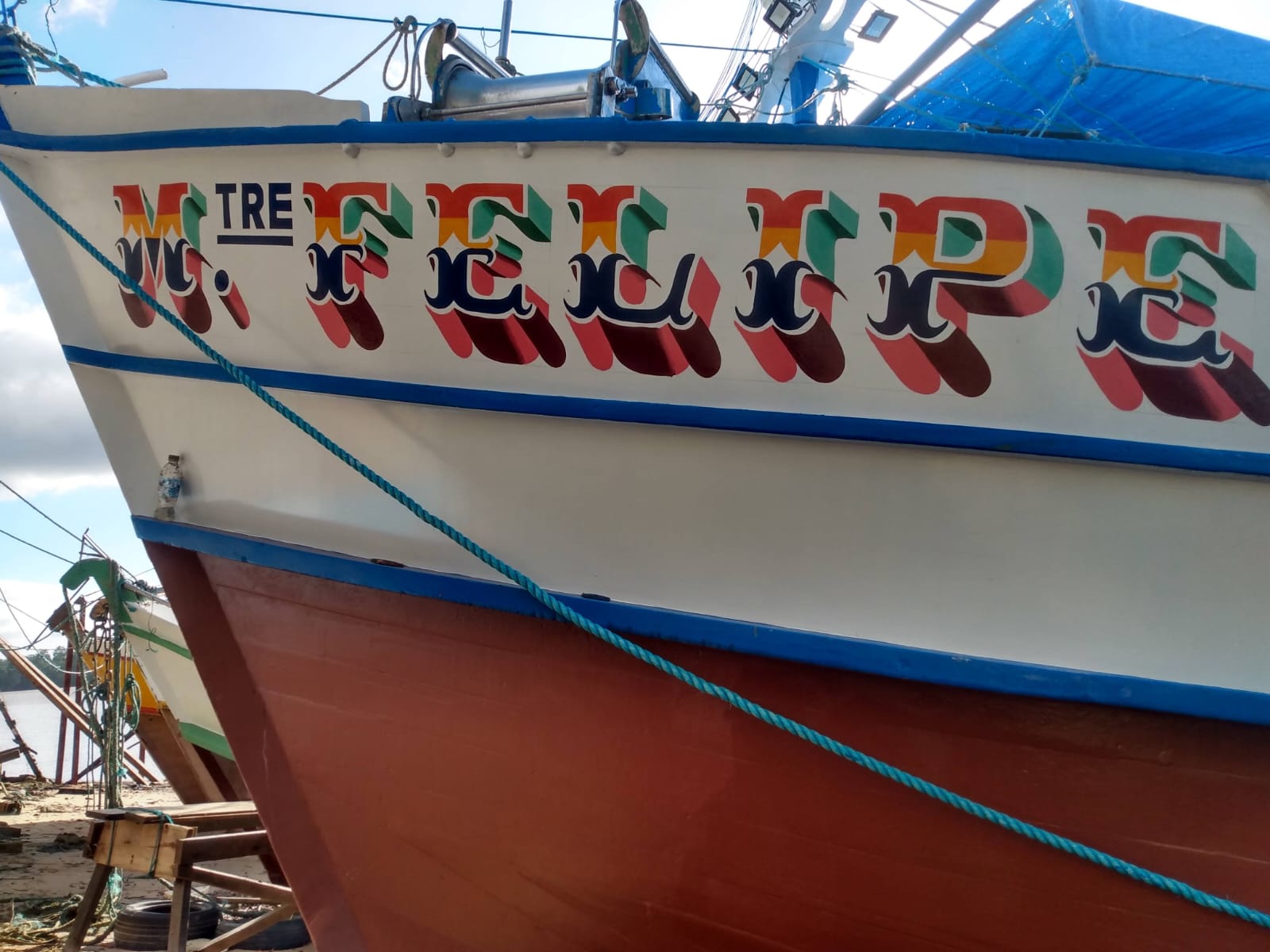 Trabalho de Barata 1